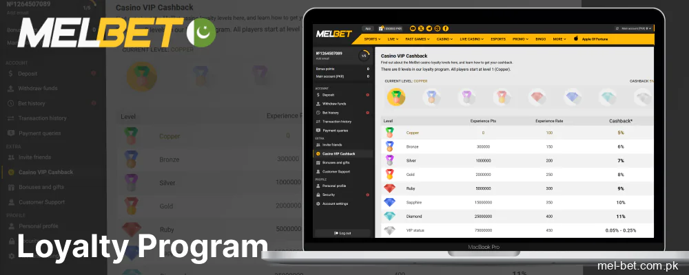 Loyalty program tiers and rewards at Melbet